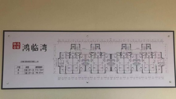 鸿临湾效果图